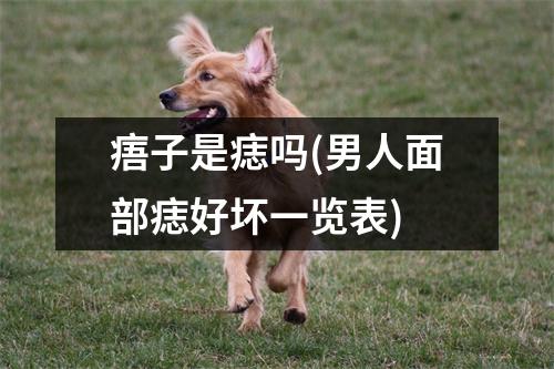 痦子是痣吗(男人面部痣好坏一览表)