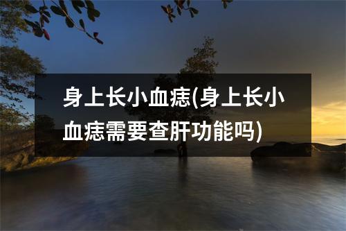 身上长小血痣(身上长小血痣需要查肝功能吗)