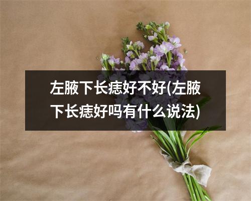 左腋下长痣好不好(左腋下长痣好吗有什么说法)