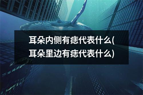 耳朵内侧有痣代表什么(耳朵里边有痣代表什么)