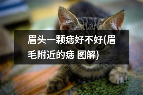 眉头一颗痣好不好(眉毛附近的痣 图解)