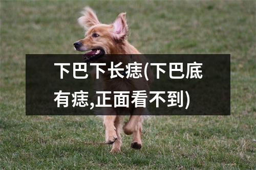 下巴下长痣(下巴底有痣,正面看不到)