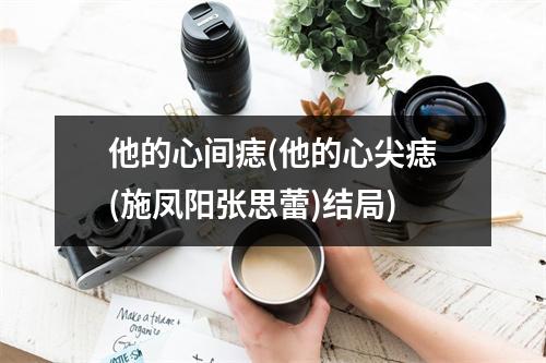 他的心间痣(他的心尖痣(施凤阳张思蕾)结局)