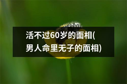 活不过60岁的面相(男人命里无子的面相)