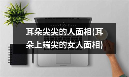 耳朵尖尖的人面相(耳朵上端尖的女人面相)