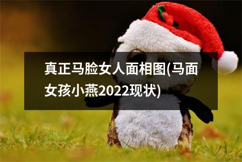 真正马脸女人面相图(马面女孩小燕2022现状)