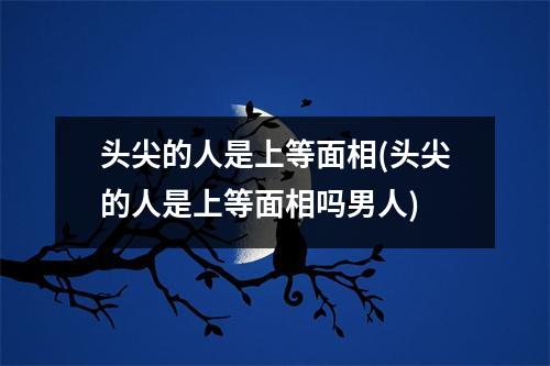 头尖的人是上等面相(头尖的人是上等面相吗男人)