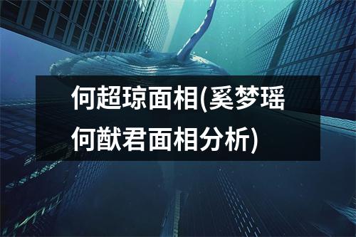 何超琼面相(奚梦瑶何猷君面相分析)