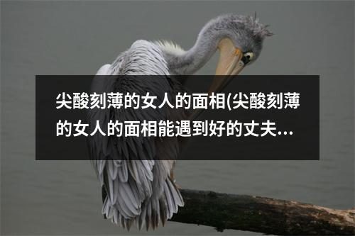 尖酸刻薄的女人的面相(尖酸刻薄的女人的面相能遇到好的丈夫吗)