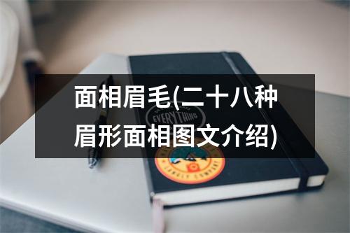 面相眉毛(二十八种眉形面相图文介绍)