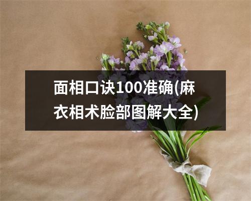 面相口诀100准确(麻衣相术脸部图解大全)