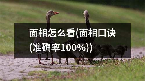 面相怎么看(面相口诀(准确率100%))