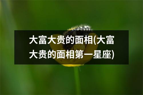 大富大贵的面相(大富大贵的面相第一星座)