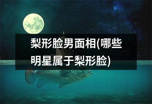 梨形脸男面相(哪些明星属于梨形脸)