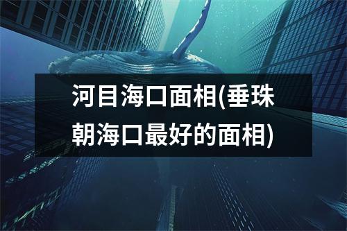 河目海口面相(垂珠朝海口好的面相)