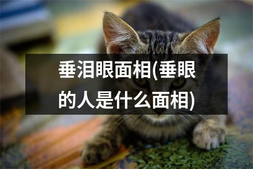 垂泪眼面相(垂眼的人是什么面相)