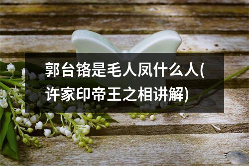 郭台铬是毛人凤什么人(许家印帝王之相讲解)