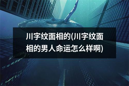 川字纹面相的(川字纹面相的男人命运怎么样啊)