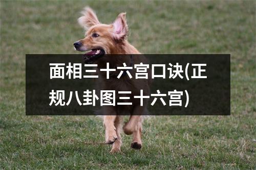 面相三十六宫口诀(正规八卦图三十六宫)