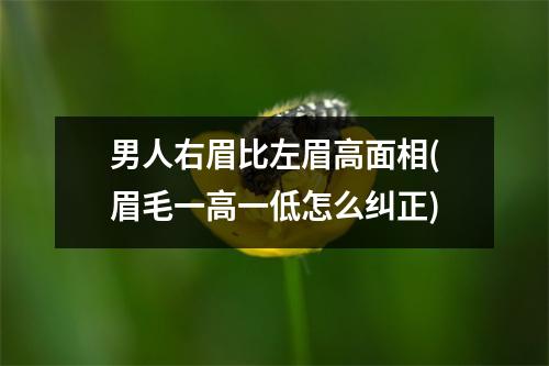 男人右眉比左眉高面相(眉毛一高一低怎么纠正)