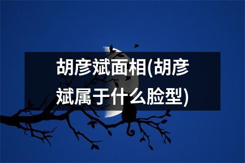 胡彦斌面相(胡彦斌属于什么脸型)