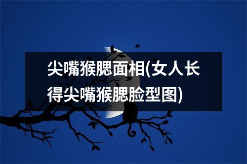 尖嘴猴腮面相(女人长得尖嘴猴腮脸型图)