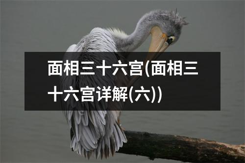 面相三十六宫(面相三十六宫详解(六))