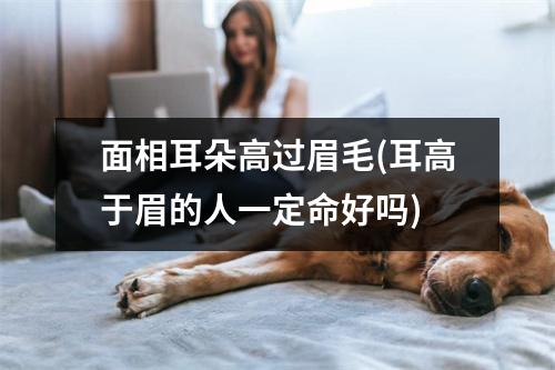 面相耳朵高过眉毛(耳高于眉的人一定命好吗)