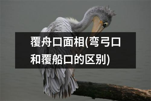 覆舟口面相(弯弓口和覆船口的区别)