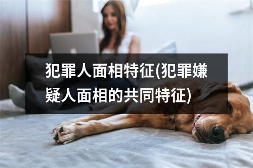 犯罪人面相特征(犯罪嫌疑人面相的共同特征)