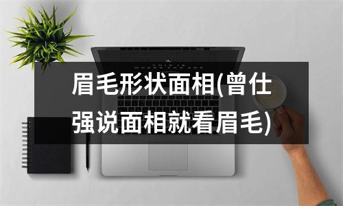 眉毛形状面相(曾仕强说面相就看眉毛)