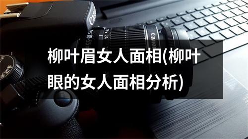 柳叶眉女人面相(柳叶眼的女人面相分析)