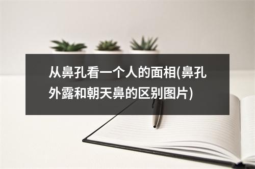 从鼻孔看一个人的面相(鼻孔外露和朝天鼻的区别图片)