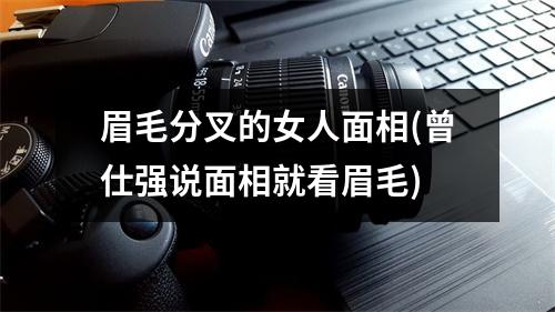 眉毛分叉的女人面相(曾仕强说面相就看眉毛)