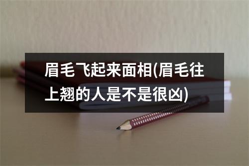 眉毛飞起来面相(眉毛往上翘的人是不是很凶)