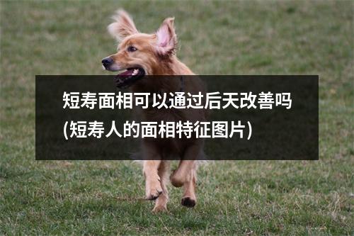 短寿面相可以通过后天改善吗(短寿人的面相特征图片)