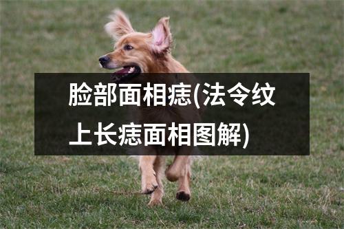 脸部面相痣(法令纹上长痣面相图解)