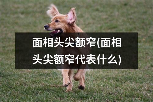 面相头尖额窄(面相头尖额窄代表什么)