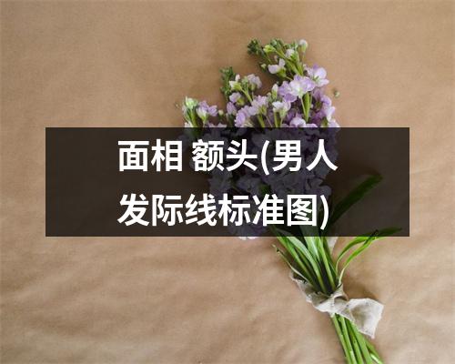 面相 额头(男人发际线标准图)