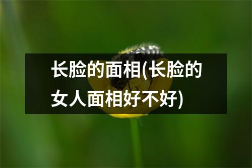 长脸的面相(长脸的女人面相好不好)