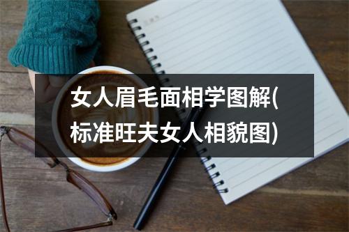 女人眉毛面相学图解(标准旺夫女人相貌图)