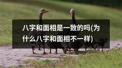 八字和面相是一致的吗(为什么八字和面相不一样)