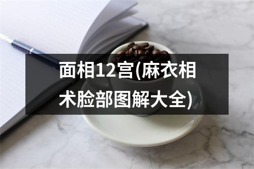 面相12宫(麻衣相术脸部图解大全)