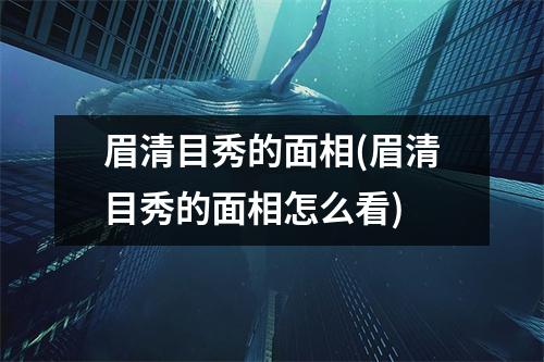 眉清目秀的面相(眉清目秀的面相怎么看)