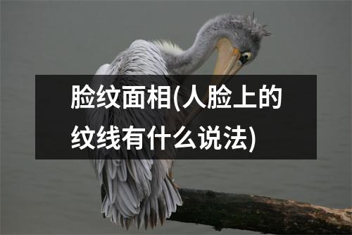 脸纹面相(人脸上的纹线有什么说法)