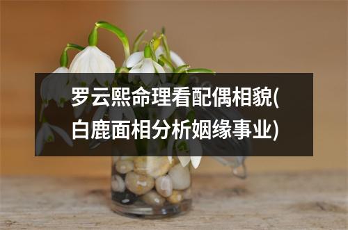 罗云熙命理看配偶相貌(白鹿面相分析姻缘事业)