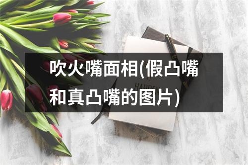 吹火嘴面相(假凸嘴和真凸嘴的图片)