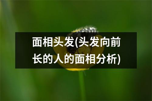 面相头发(头发向前长的人的面相分析)