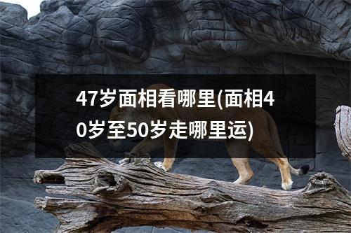 47岁面相看哪里(面相40岁至50岁走哪里运)