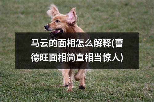 马云的面相怎么解释(曹德旺面相简直相当惊人)